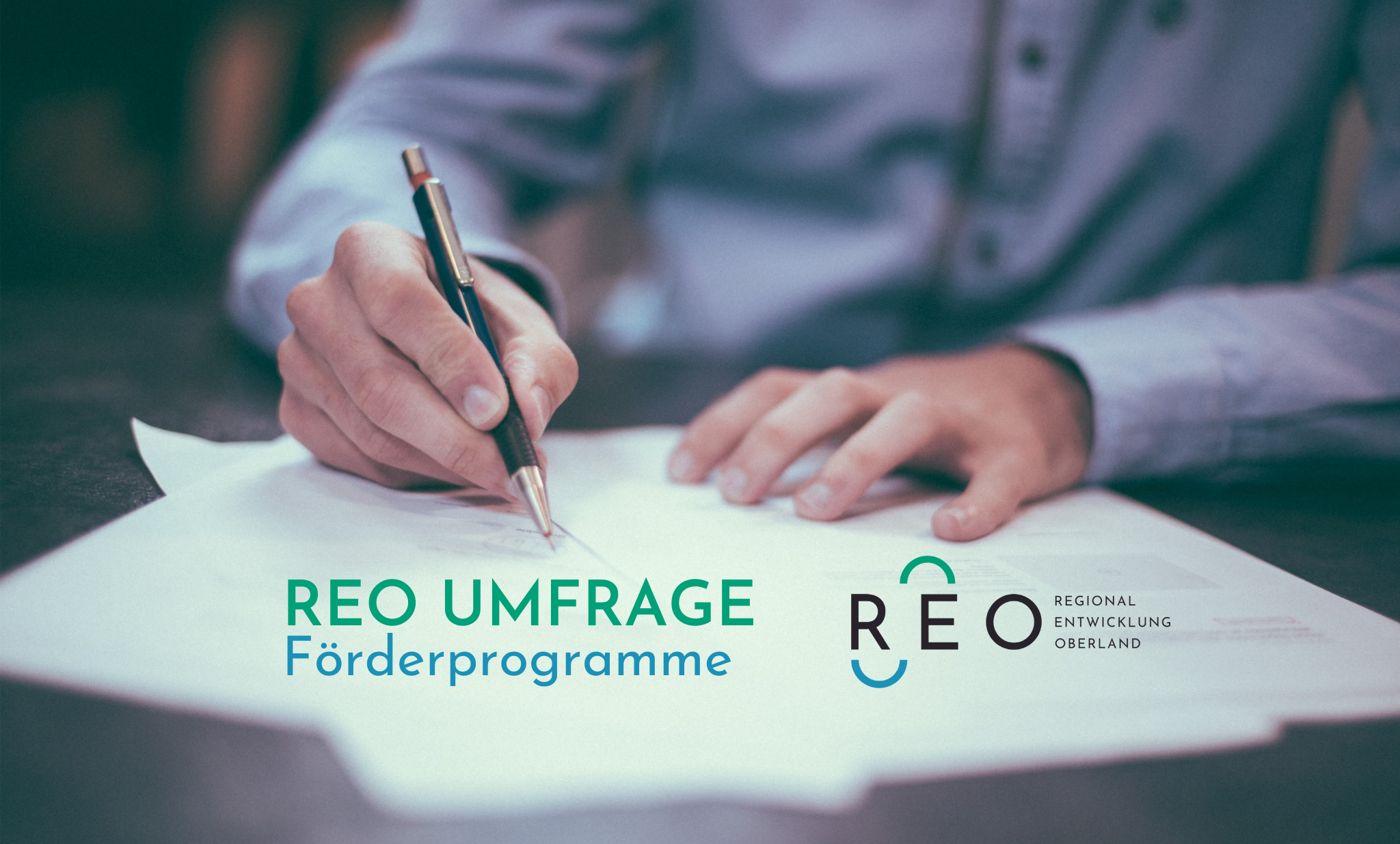 20220919_PM_REO Umfrage Förderprogramme Bioweiderind