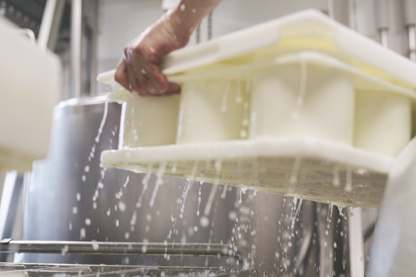 Biomilchverarbeitung zu Weichkäse_NaturkäsereiTegernseerLand_825x550 REGIONALE PRODUKTE