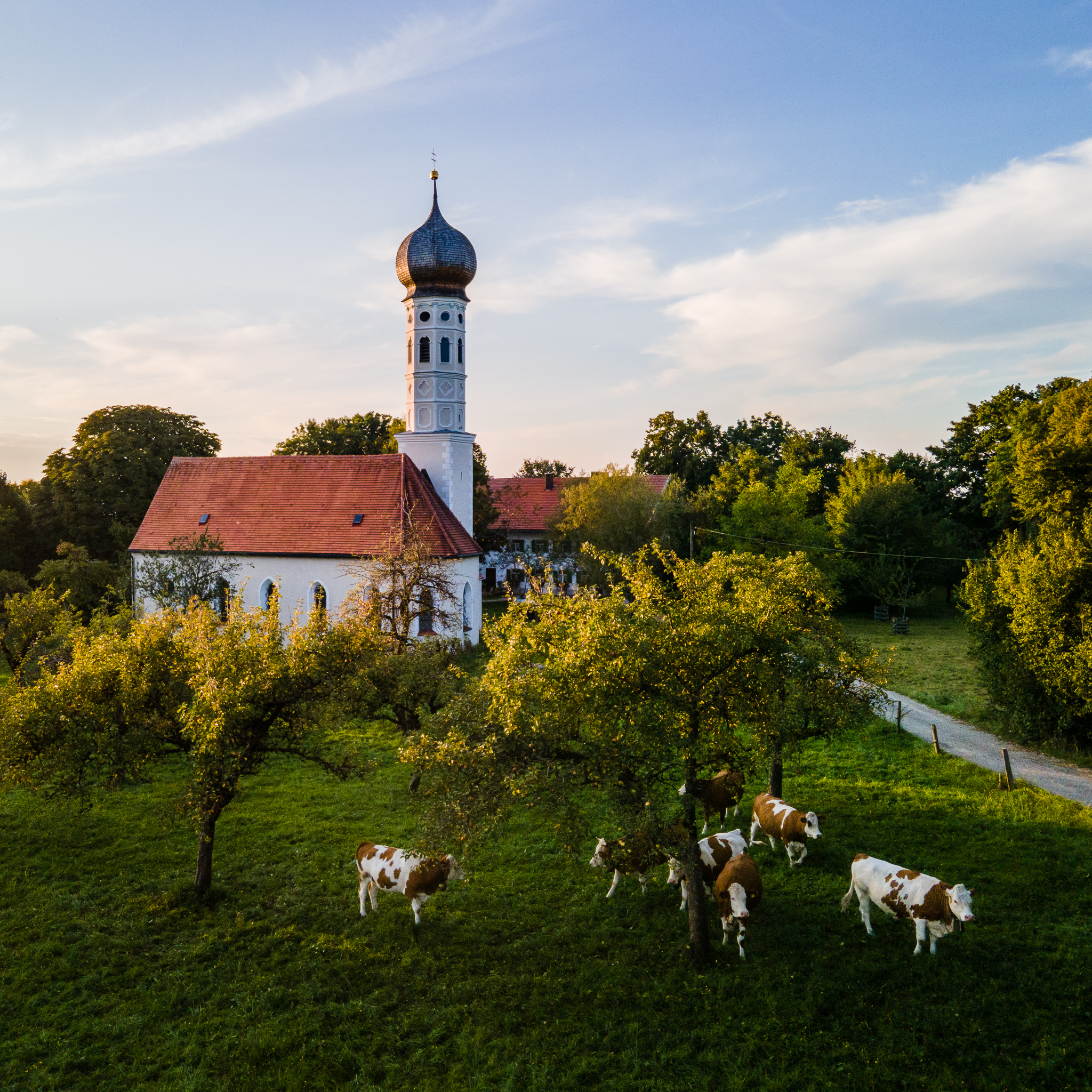 DJI_0199-Enhanced