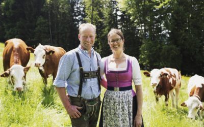 Bürgerbeteiligungs-Projekt: Bio-Landwirt stellt auf Kälbermast um