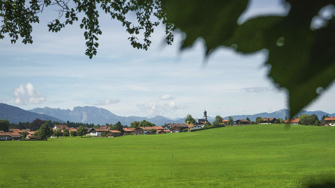 Standortbefragung_Waakirchen Bioweiderind