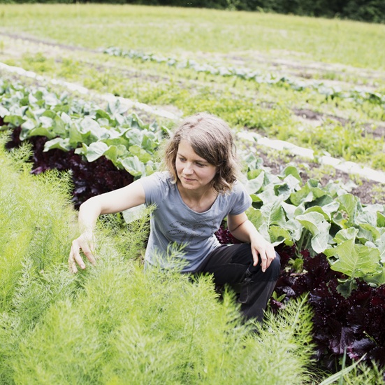 Webseite Jana Heenen Bioweiderind