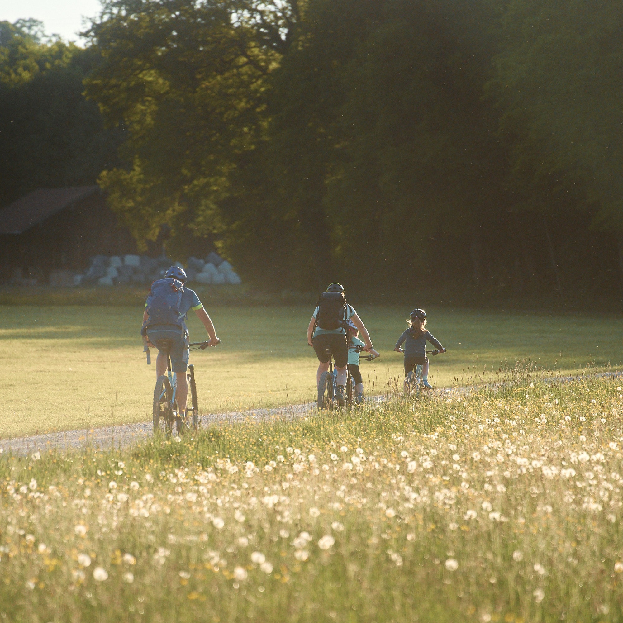 Regionale Produkte aktiv erleben